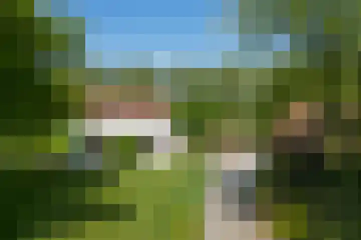 Varempéstraat 5 Overslag thumbnail 5