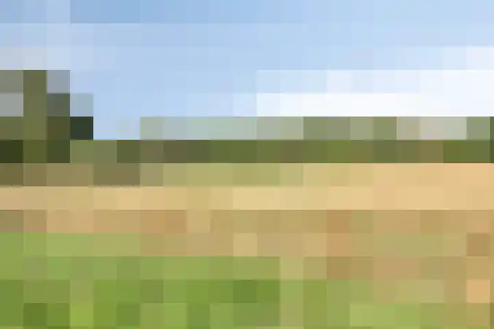 Varenbeukerweg 35 Heerlen thumbnail 35