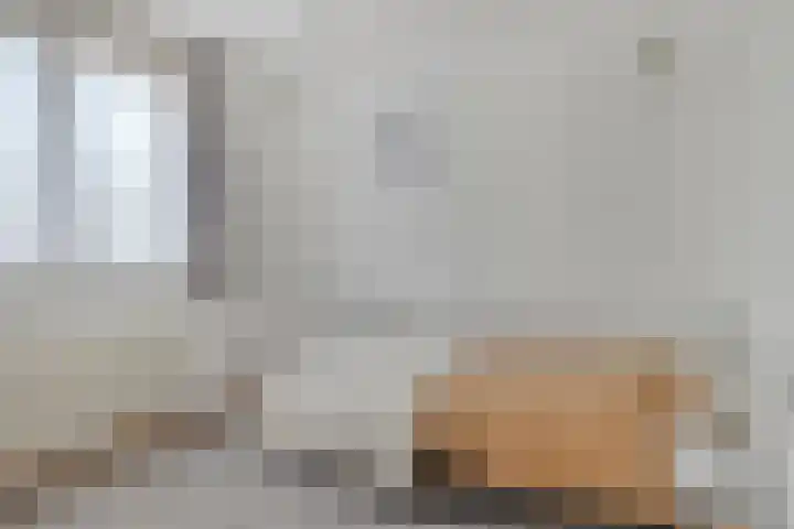 Varendonk 1 Waalre thumbnail 21