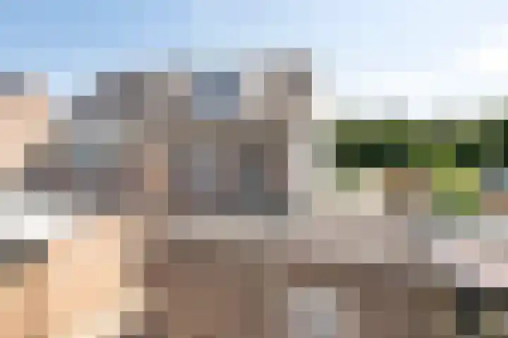 Varendonk 1 Waalre thumbnail 32