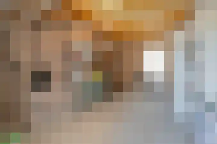 Varendonk 1 Waalre thumbnail 33