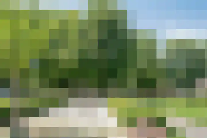 Varendonk 1 Waalre thumbnail 34