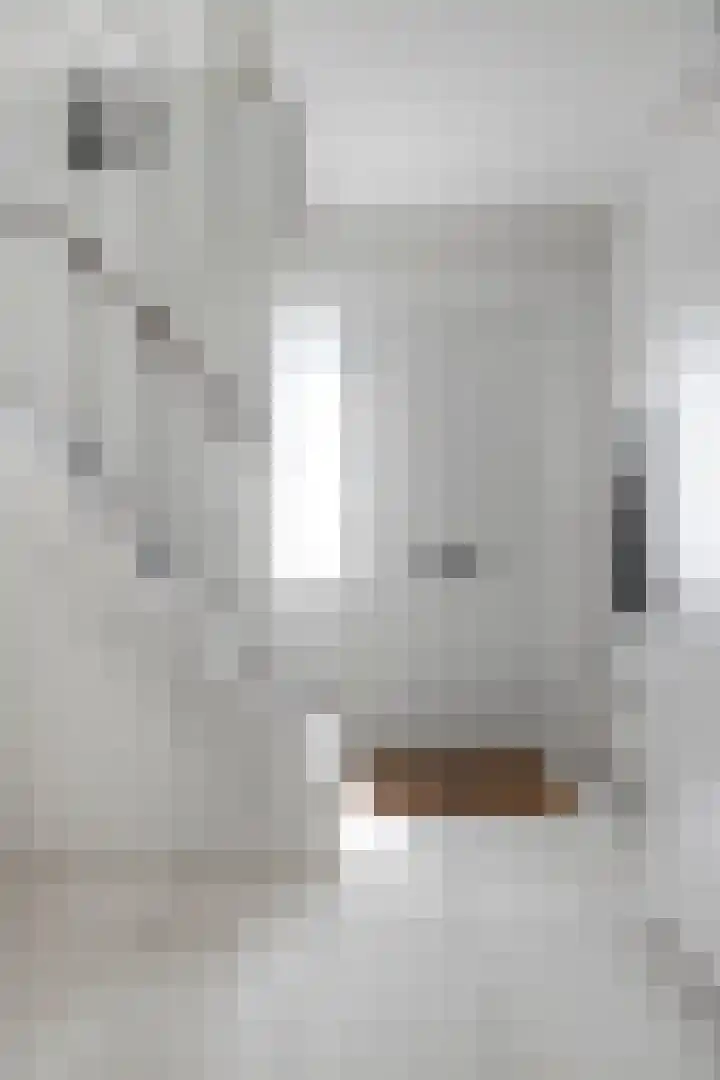 Varendonk 1 Waalre thumbnail 5