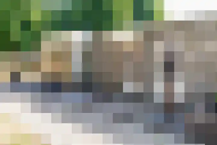 Varendonk 52 Waalre thumbnail 10