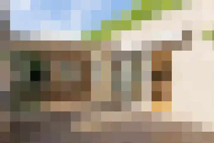 Varendonk 52 Waalre thumbnail 26