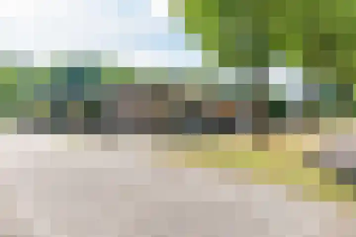 Varendonk 52 Waalre thumbnail 33