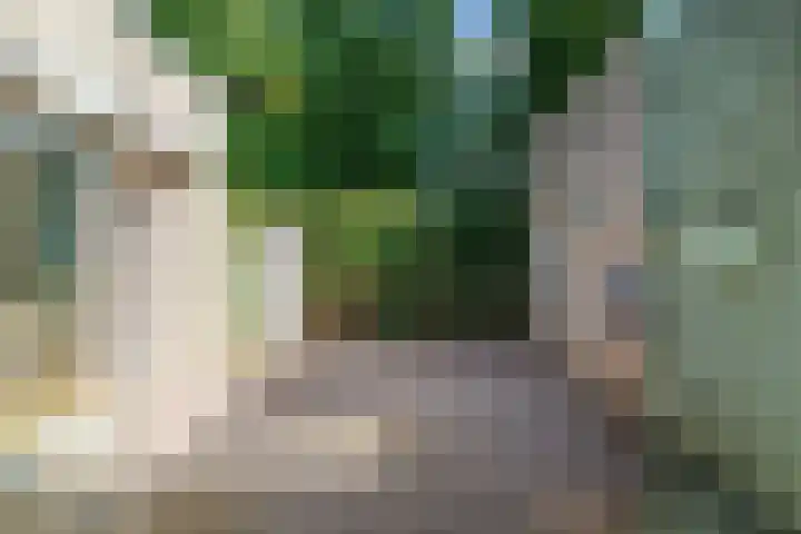 Varendonk 52 Waalre thumbnail 5