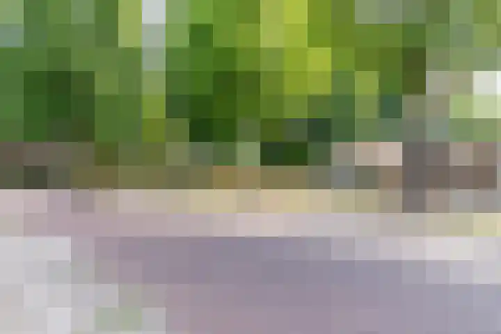 Varendonk 52 Waalre thumbnail 7