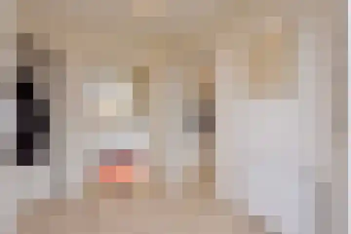 Varendonk 56 Waalre thumbnail 10