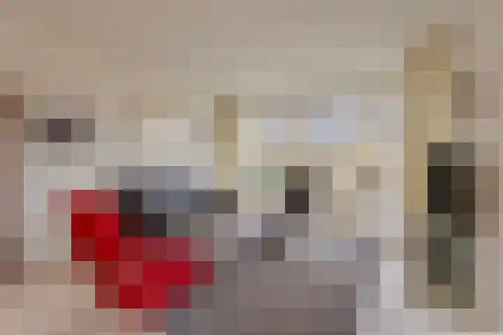 Varendonk 56 Waalre thumbnail 13