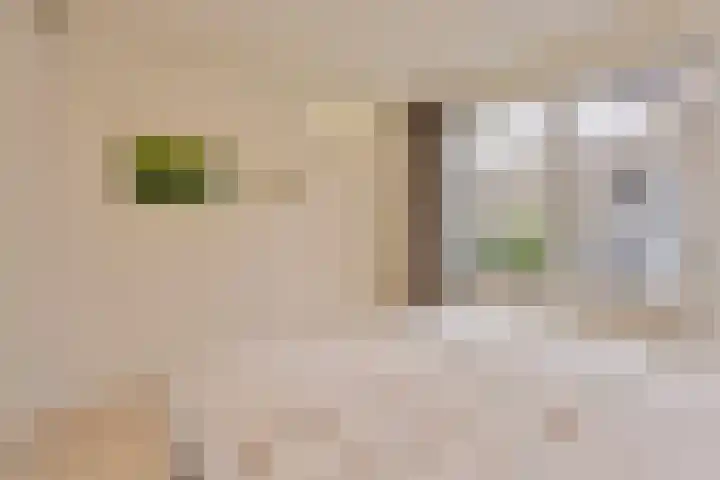 Varendonk 56 Waalre thumbnail 24