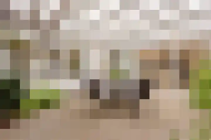 Varendonk 56 Waalre thumbnail 27
