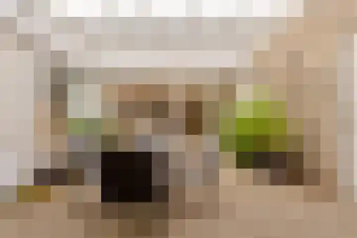 Varendonk 56 Waalre thumbnail 28