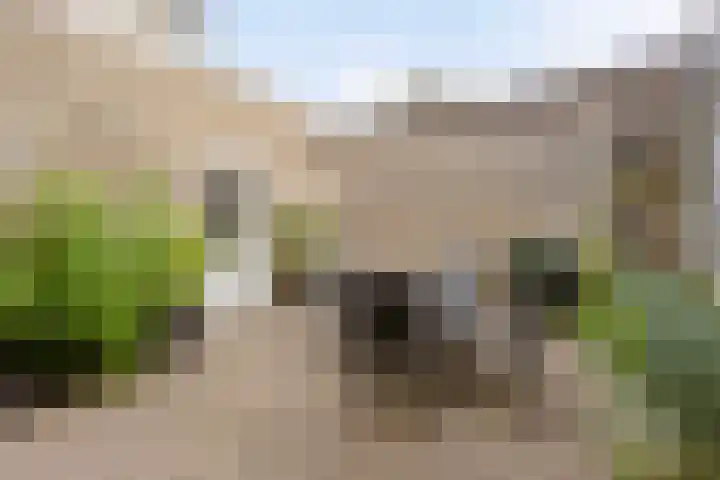 Varendonk 56 Waalre thumbnail 31