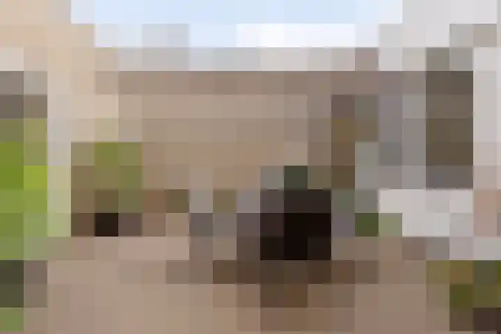 Varendonk 56 Waalre thumbnail 32