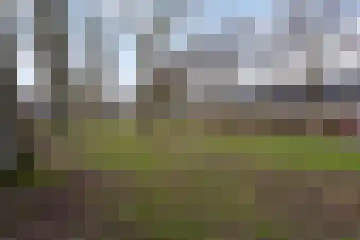 Varendonk 56 Waalre thumbnail 35