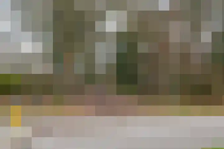 Varendonk 56 Waalre thumbnail 36