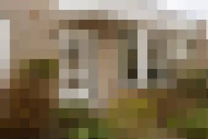 Varendonk 56 Waalre thumbnail 6