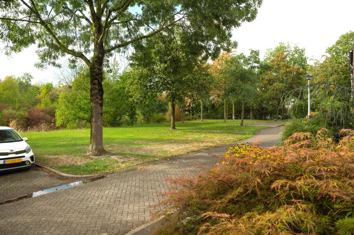 Varenerf 6 Heerlen thumbnail 7