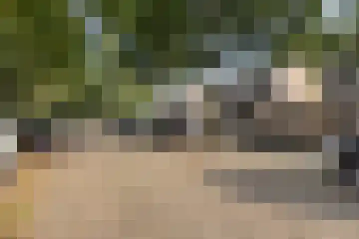 Varenhof 37 Weiteveen thumbnail 30
