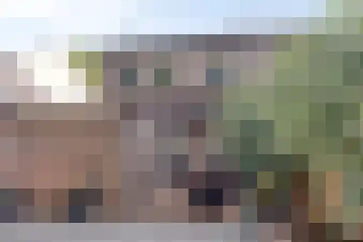 Varenhof 37 Weiteveen thumbnail 31
