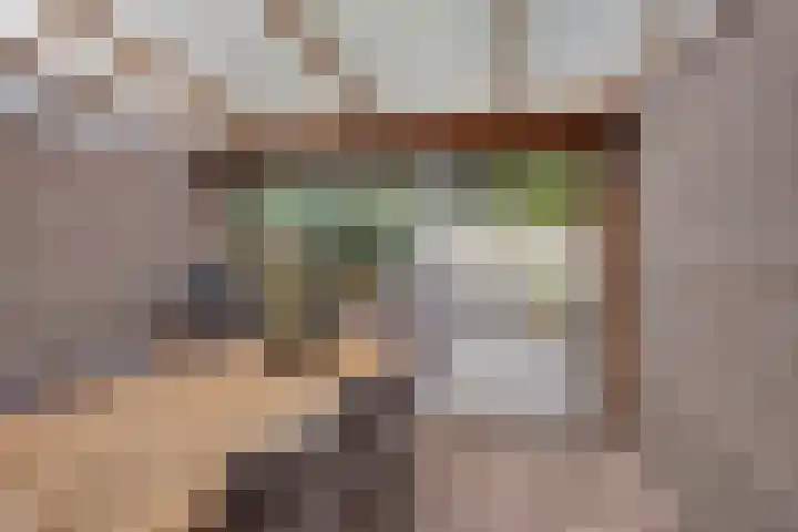 Varenhof 37 Weiteveen thumbnail 33