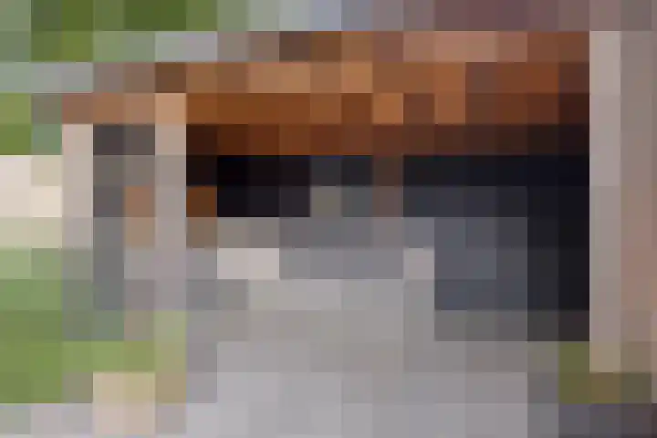 Varenhof 37 Weiteveen thumbnail 37