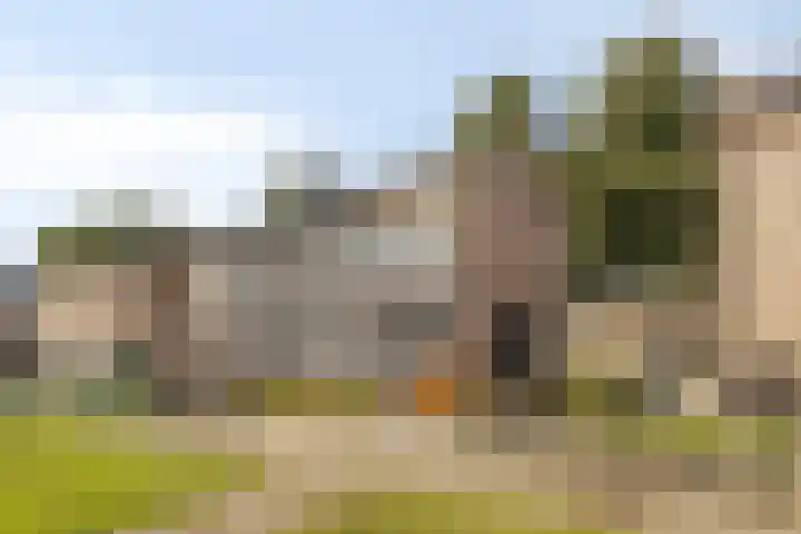 Varenhof 37 Weiteveen thumbnail 4