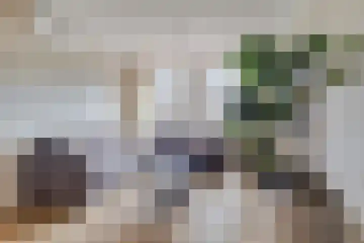 Varenhof 37 Weiteveen thumbnail 9