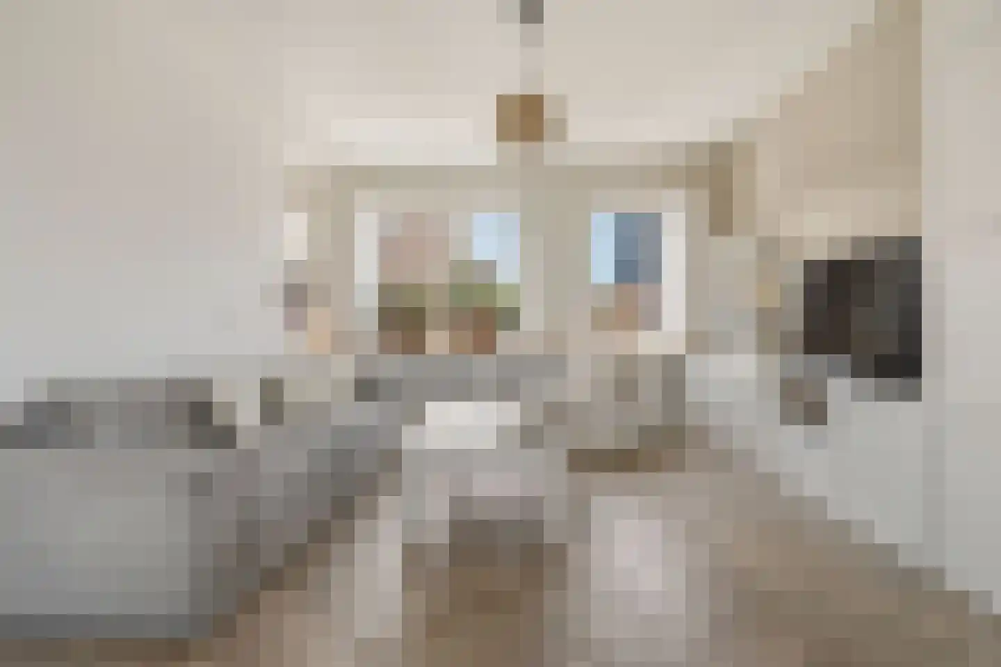 Vareniusstraat 9 IJmuiden thumbnail 4
