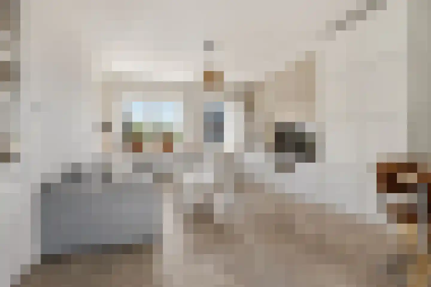 Vareniusstraat 9 IJmuiden thumbnail 8