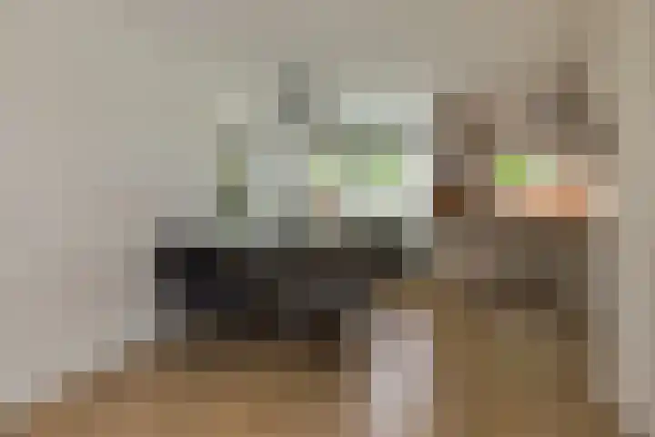 Varenkade 37 Bergschenhoek thumbnail 15