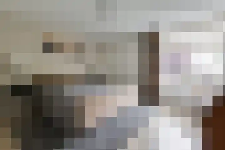Varenkade 37 Bergschenhoek thumbnail 19
