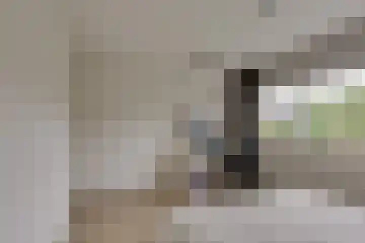 Varenkade 37 Bergschenhoek thumbnail 22
