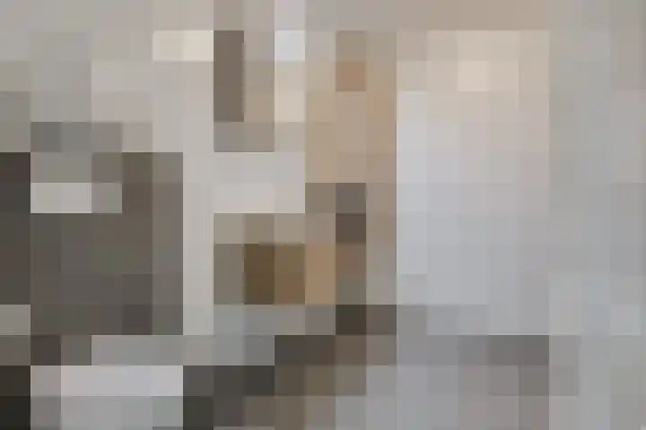 Varenkade 37 Bergschenhoek thumbnail 25
