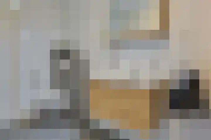 Varenkade 37 Bergschenhoek thumbnail 26