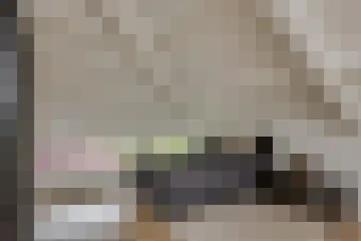 Varenkade 37 Bergschenhoek thumbnail 28
