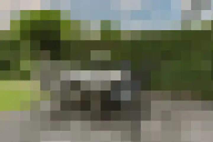 Varenkade 37 Bergschenhoek thumbnail 31