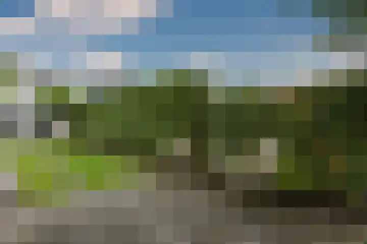 Varenkade 37 Bergschenhoek thumbnail 33