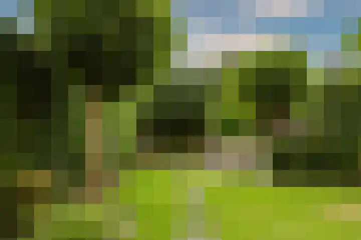 Varenkade 37 Bergschenhoek thumbnail 34