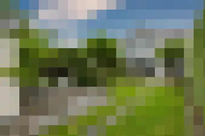 Varenkade 37 Bergschenhoek thumbnail 35