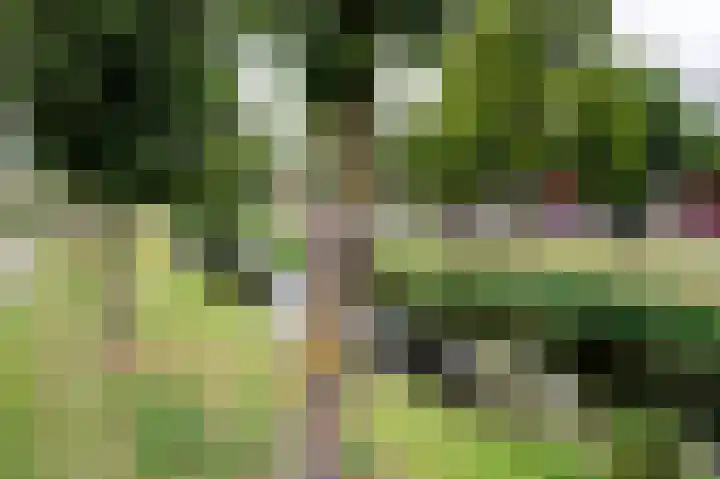 Varenkade 37 Bergschenhoek thumbnail 36