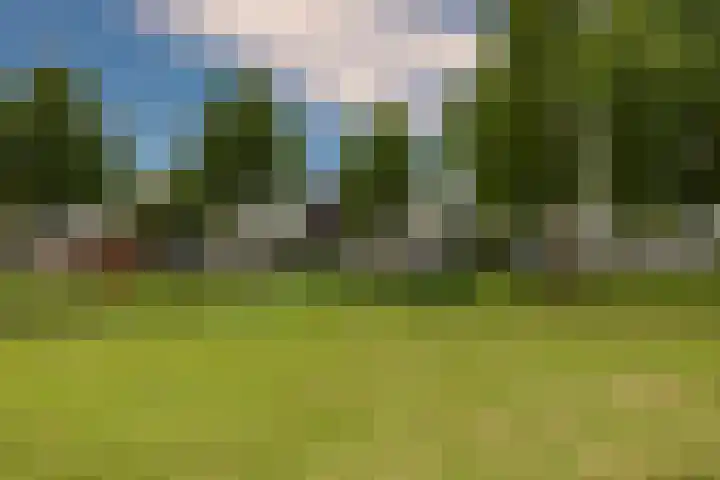 Varenkade 37 Bergschenhoek thumbnail 5