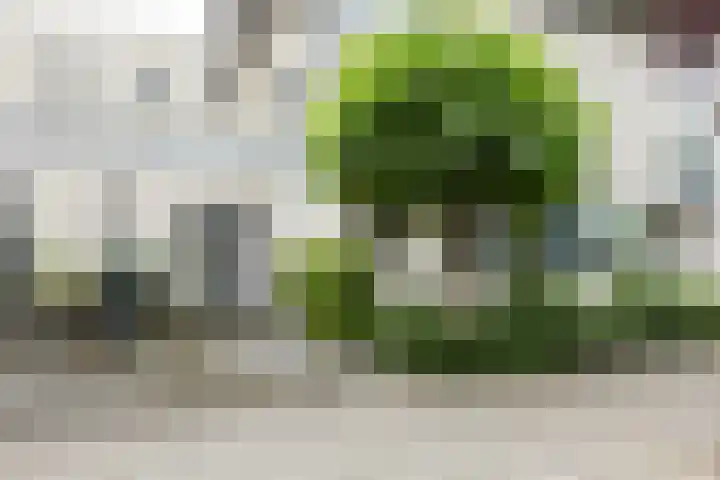 Varenkade 37 Bergschenhoek thumbnail 6