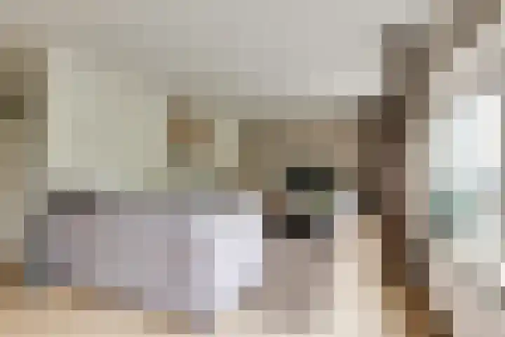 Varenkade 37 Bergschenhoek thumbnail 9