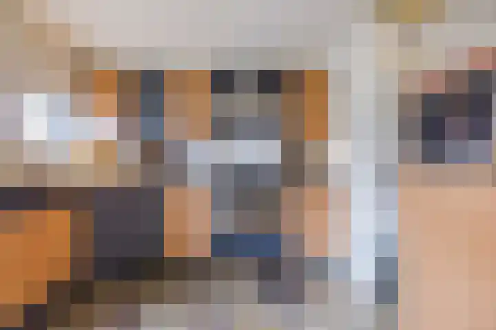Varenkade 53 Bergschenhoek thumbnail 12