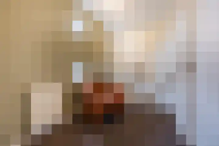 Varenkade 53 Bergschenhoek thumbnail 27