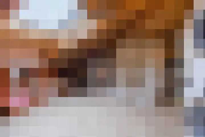 Varenkade 53 Bergschenhoek thumbnail 30