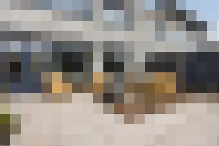Varenkade 53 Bergschenhoek thumbnail 32