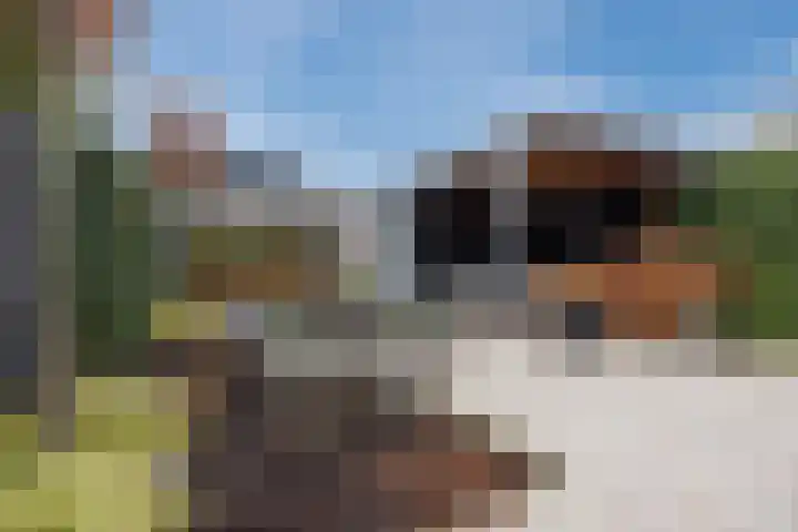 Varenkade 53 Bergschenhoek thumbnail 33
